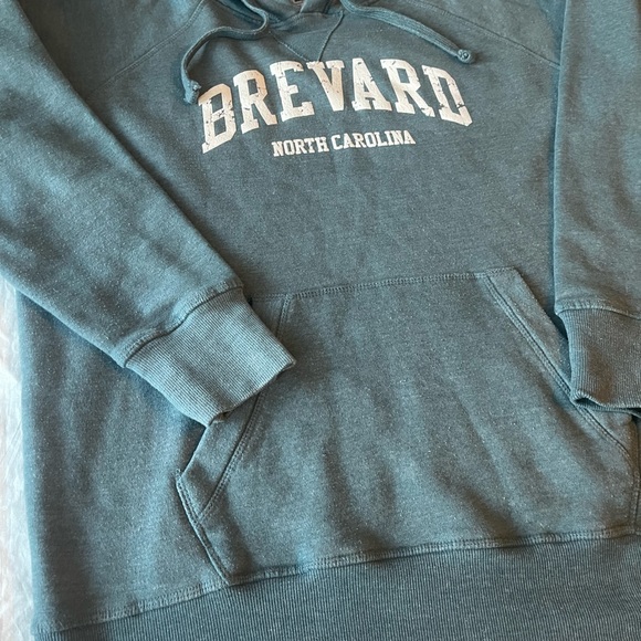 #299 BREVARD NORTH CAROLINA (VINTAGE WEAR) HOODIE - Picture 10 of 16